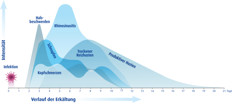 Diagramm Verlauf einer Erkältung